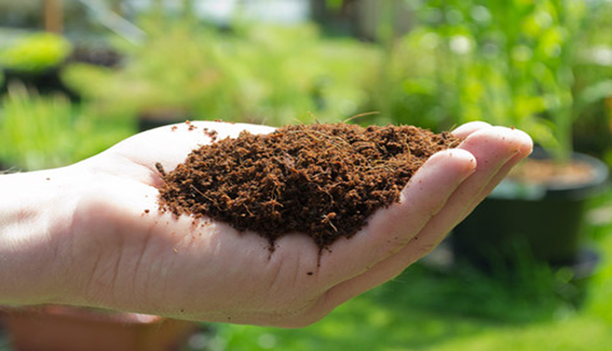 Coir Importance